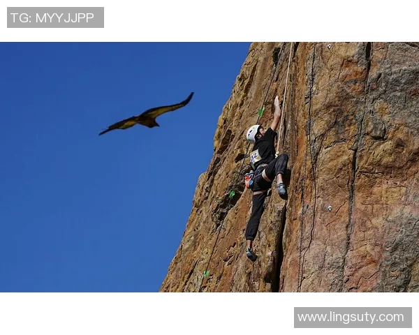 重庆排球队耐力之争引发热议球迷与专家各执己见探讨背后原因